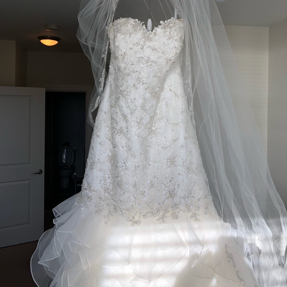 Michelle Roth Wedding Dress from Kleinfeld